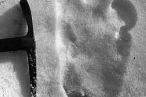 criaturas mitologicas