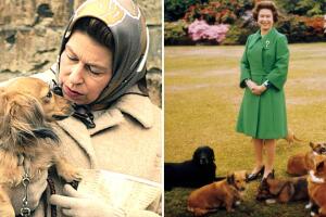 La reina Isabel II y sus perros a través de los años