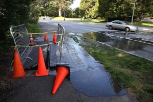 Cómo perder tu licencia de conducir