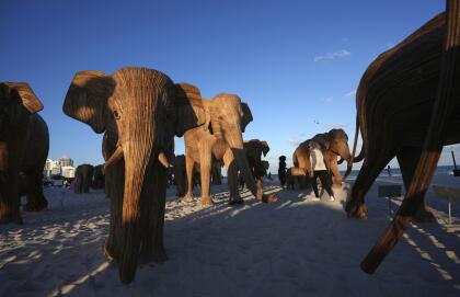 The Great Elephant Migration art installation, which is traveling across the United States promoting human-wildlife coexistence, is displayed during Miami Art Week Monday, Dec. 2, 2024, in Miami Beach, Fla. (AP Photo/Lynne Sladky)