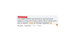 La suegra metiche 