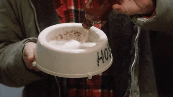strange-brew.gif