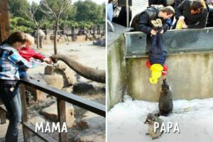 diferenca-mae-pai-zoologico.jpg