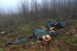 Ratko Mladic 