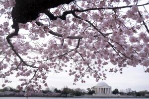 AP25059727576533 (1).jpg