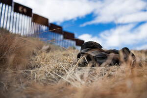 US-MEXICO-BORDERPROJECT2017
