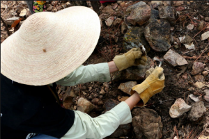Familiares de los desaparecidos en México intentan obtener más ayuda del gobierno, tanto en la búsqueda de sus seres queridos como en la disponibilidad de especialistas y tecnología para identificar los restos que han encontrado. 