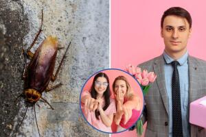 Zoológico te permite nombrar a una cucaracha como una de tus exparejas.