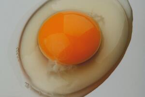 istock_000025669982_medium-tratada.jpg