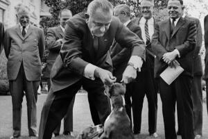 President Johnson Beagles