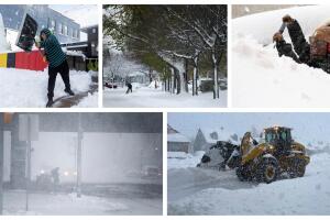 BeFunky-collage (2) (1).jpg