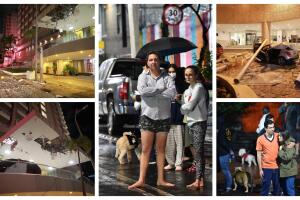 BeFunky-collage (44) (1).jpg