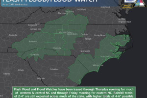 Screen Shot 2020-11-11 at 10.14.06 AM.png