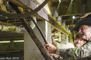 Everglades Python/Python 1.jpg