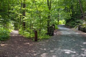 BOSQUE ESTATALES/Bosque de Nolde.jpg