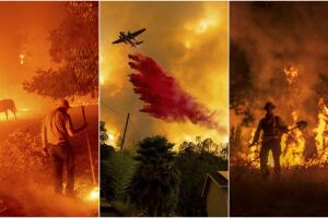 collage incendios.jpg