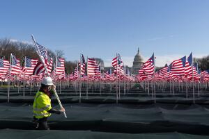 Biden Inauguration Flags