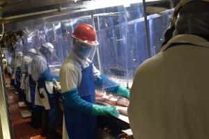 Columbus Junction floor.jpg