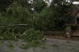 Screen Shot 2023-06-25 at 10.21.07 PM.png