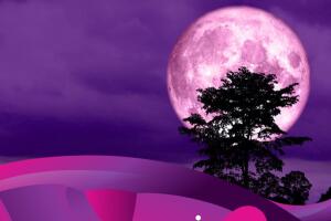 Luna rosa 