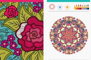 colorfy.jpg