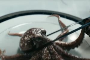 The boys tercera temporada 6.jpg