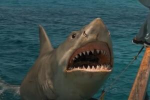 Jaws the revenge película.jpg