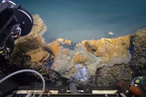 investigación en el jacuzzi de la desesperanza