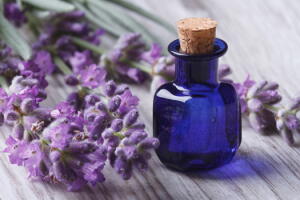 lavanda-oleo.jpg