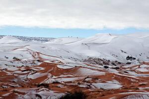Sahara Nevado