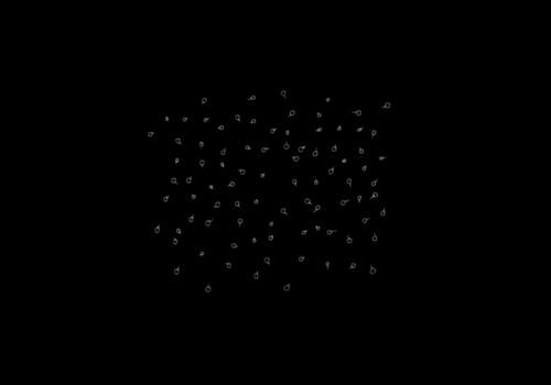 evolucao.gif