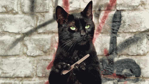 gifs-graciosos-11_0.gif