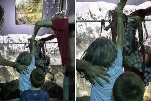 Pulpo ataque San Antonio