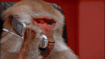 macaco-no-telefone.gif