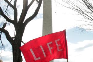 Thousands of people gather for the annual March for Life rally in Washington