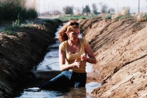 Erin Brockovich - 2000 Julia Roberts Grosby (2).jpg