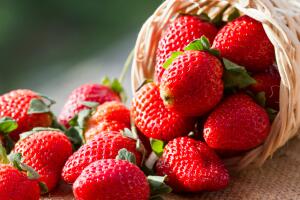 Fresas
