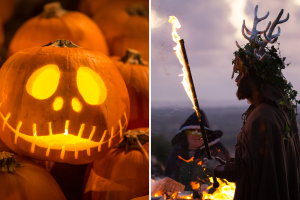 calabazas-halloween (4).png