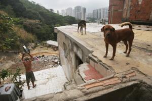 salud oms enfermedades