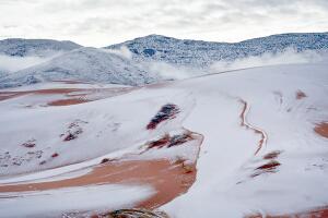 Sahara Nevado