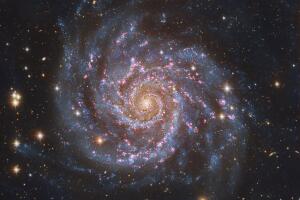 Galaxia M74 «El espiral perfecto»