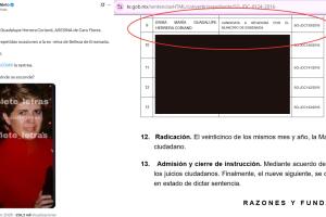 Erika Guadalupe Herrera Coriand habría asesinado a su nuera, Carolina Flores