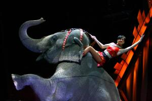 Ringling Bros. And Barnum & Bailey Presents Bellobration