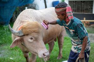 BANGLADESH-US-POLITICS-BUFFALO