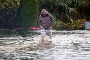 Alertan por aumento excesivo de precios durante el nor’easter en Nueva York.