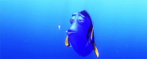 razones-por-las-que-adoramos-a-dory.gif