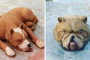 figuras de arena de perros.jpg