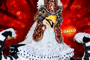 LM_GALLO.jpg