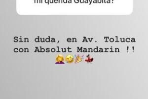 Ludwika Paleta responde a internautas de Instagram. Febrero 2019