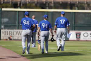 Toronto Blue Jays 